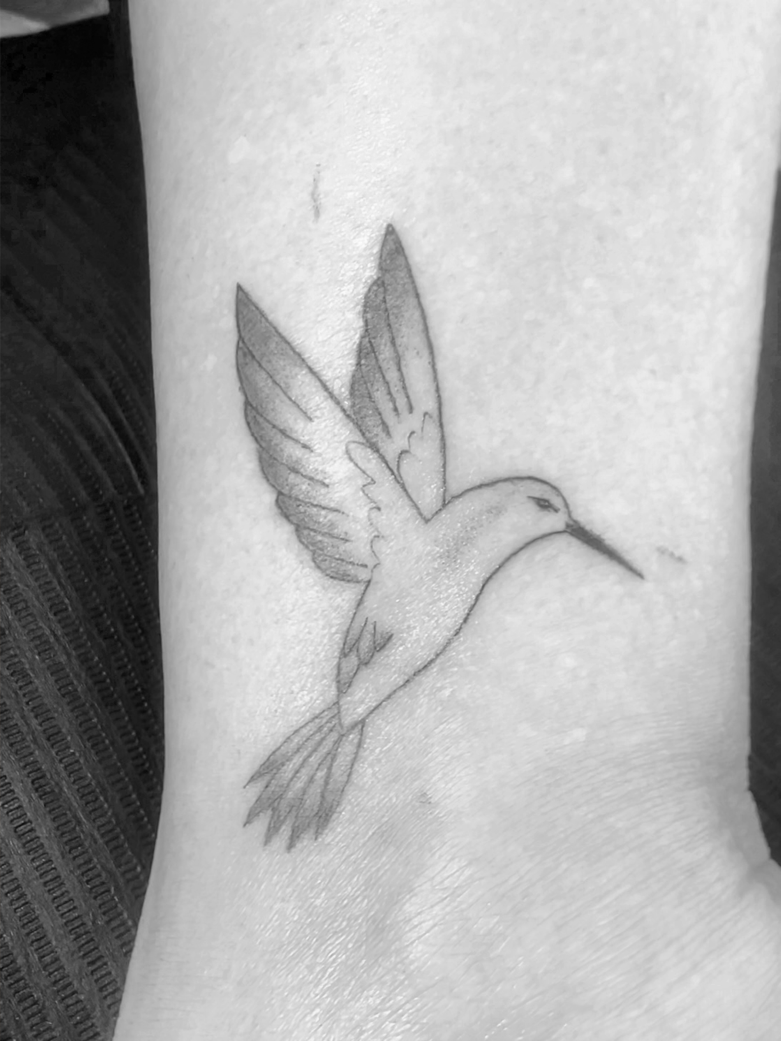 ColibriNetB