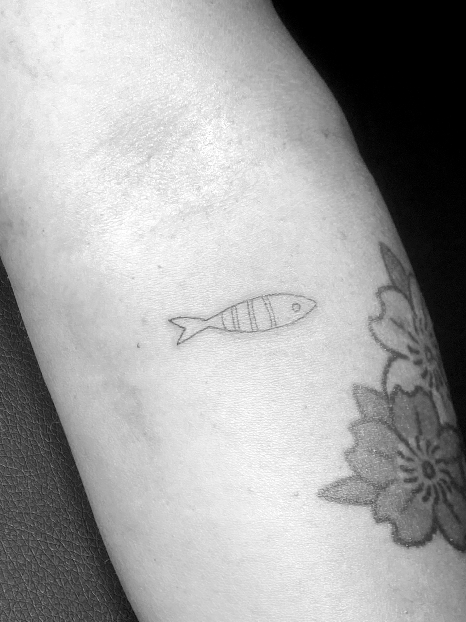 poisson